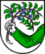 Шледорф (Зальцбург)