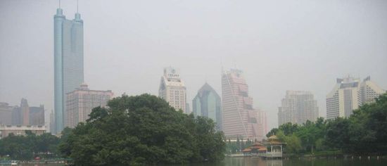 Небоскрёбы в центре Шэньчжэня. Самое высокое — Башня Шунь Хин