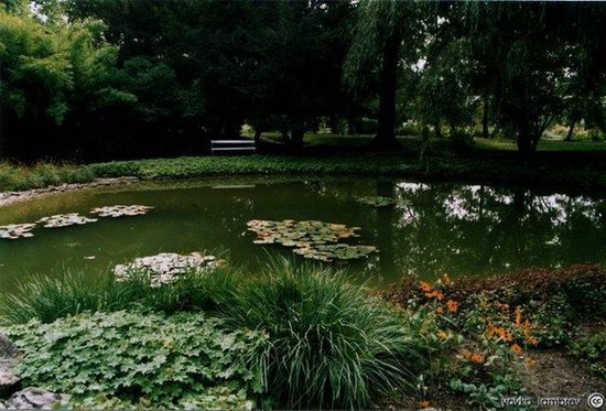 Озеро в Ботаническом саду