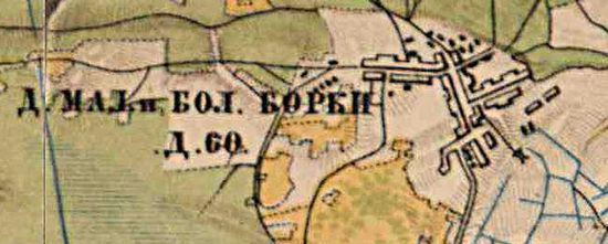 План деревни Борки. 1885 г.