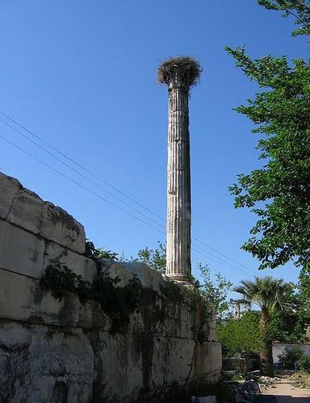 Гнездо аиста наверху древней колонны