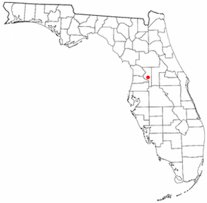 Вебстер (англ. Webster) — город в округе Самтер, штат Флорида, США. По данным 2000 года население города составляет 805 человек, которые проживают в 294 домах.