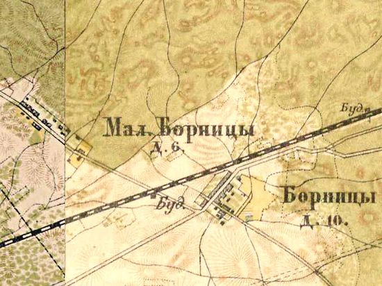 План деревни Большие Борницы, 1885 г.