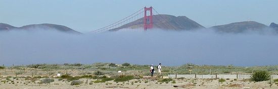 Туман, надвигающийся на парк Крисси Филд (видно мост Золотые ворота)