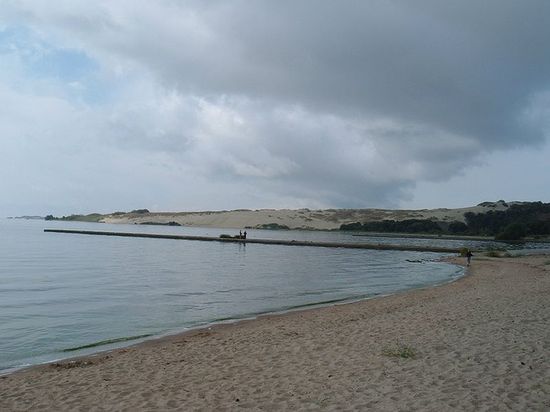 Берег Куршского залива к югу от Ниды