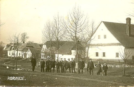 Корнице около 1920