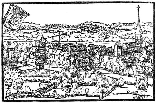 Город Фрауэнфельд в хронике Йохана Штумпфа (нем. Johannes Stumpf), 1548