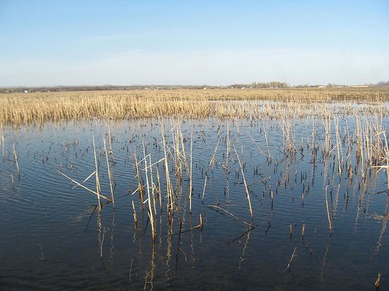 Моховое болото в апреле на фоне села