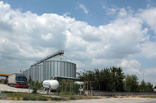 Рисовая фабрика в Гелеменово