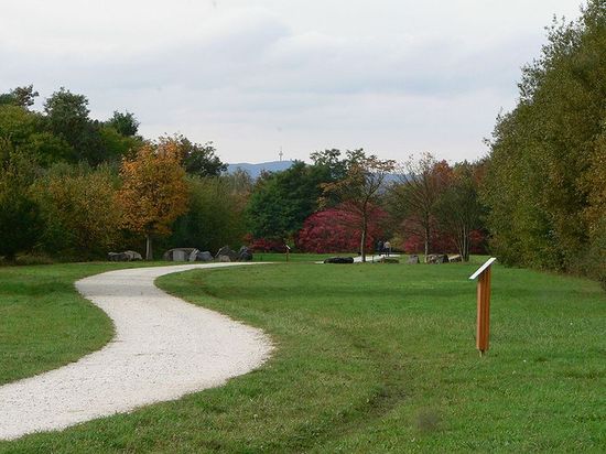 Arboretum Main-Taunus