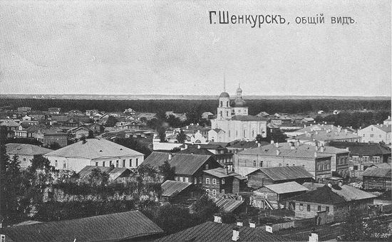 Дореволюционная панорама Шенкурска