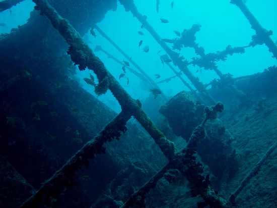 Затонувший корабль Тистлегорм — одно из популярных мест подводных экскурсий