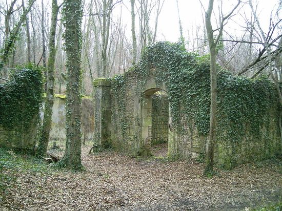 Руины пороховых складов в окрестностях Шодне-сюр Мозель.
