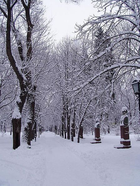 Кишинёвский парк зимой