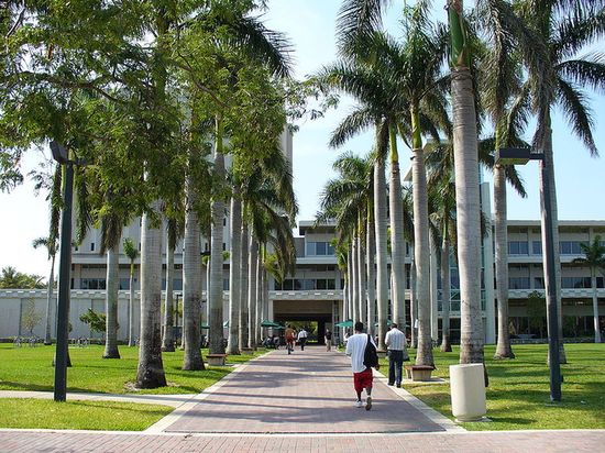 Основаный в 1925, Университет Майами — старейший колледж во Флориде южнее Winter Park.