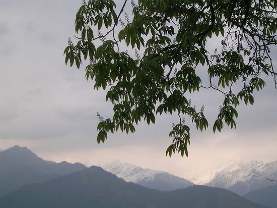 Вид на Гималаи из Питхорагарха