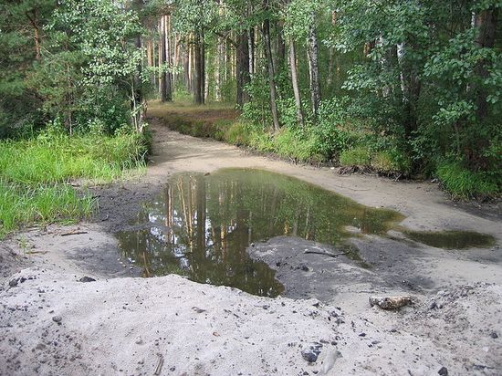 Пересохшая речка Шитка, обычно вытекающая из Черного озера