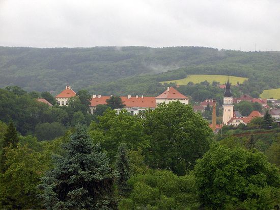 Замок графа Лобковица и башня городской ратуши.