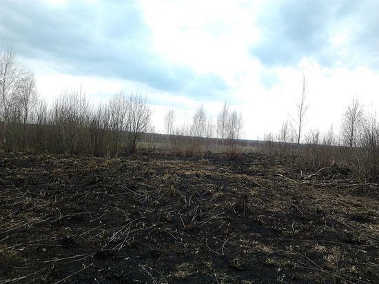 Торфяные болота после пожара