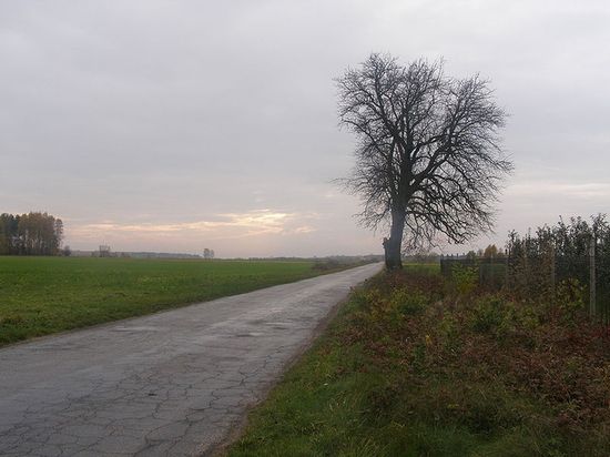 Дорога в Красницы, ведущая в деревню