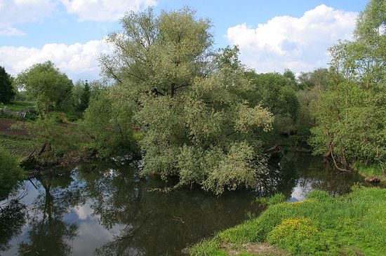 Река Медынка в Медыни