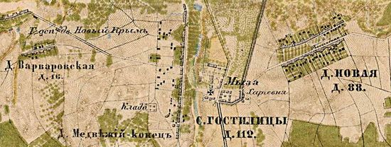 План деревни Гостилицы. 1885 г.