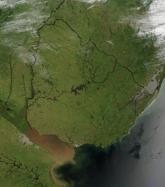 Снимок территории Уругвая со спутника
