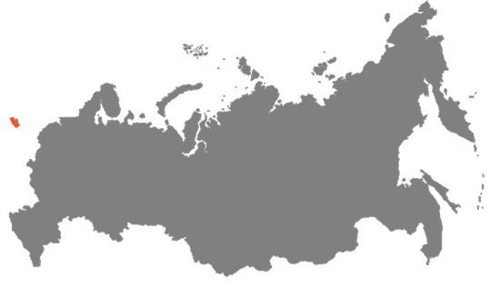 Город Калининград, как и вся Калининградская область, находится в часовом поясе, обозначаемом по международному стандарту как UTC +2 — Восточноевропейское время (EET). Смещение относительно UTC составляет +3:00. Калининградское время отличается от Московского поясного времени на 1 час, летом совпадает со временем в Прибалтийских республиках, Финляндии, Израиле, Белоруссии и на Украине, отличается от среднеевропейского времени на +1 час, зимой время от среднеевропейского отличается на +2 часа в связи с тем, что в России отменён переход на зимнее время.