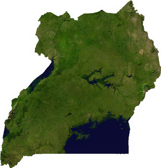 Космоснимок Уганды