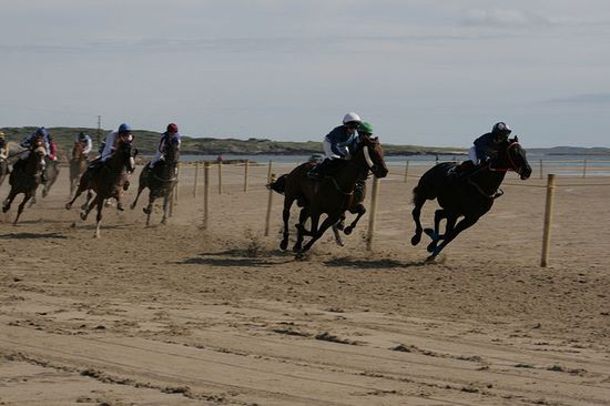 В Кладдадаффе ежегодно проводятся скачки на песчаном берегу