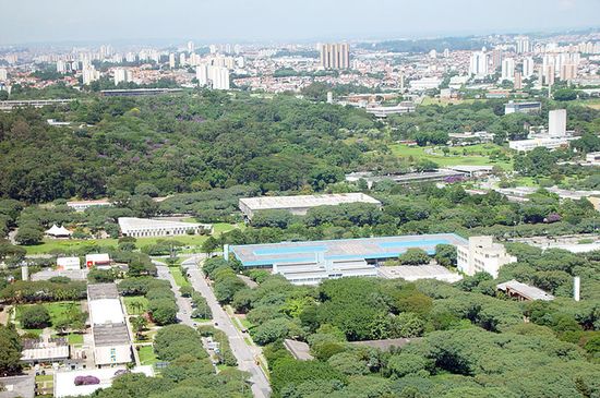 Университет Сан-Паулу (USP)