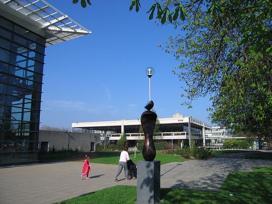 Университетский колледж Дублина