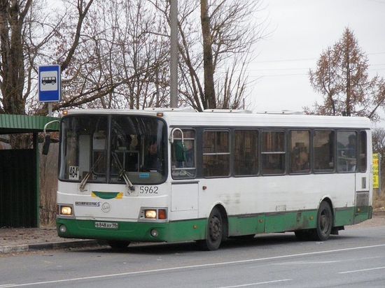 Деревня Кипень, Нарвское шоссе, автобус маршрута 484Б, стоящий на остановке «Кипень»