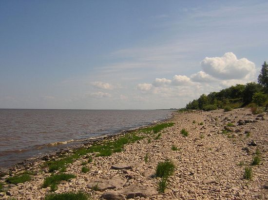 Берег озера Ильмень у деревни Коростынь