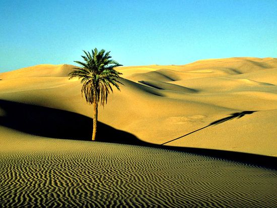 Пустыня Сахара. Ливия.