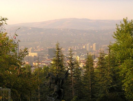 Вид на центр города от Ботанического Парка