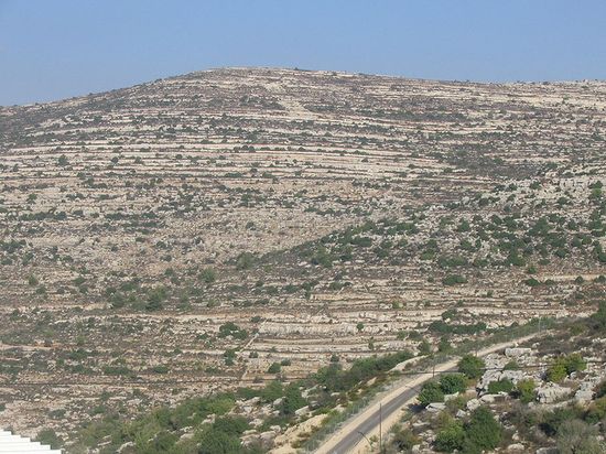 Вид из Атерет на самарийские холмы