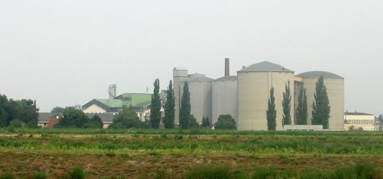 Сахарный завод (ныне перепрофилируется в производство биодизеля)