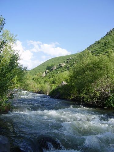 река Варденис весной