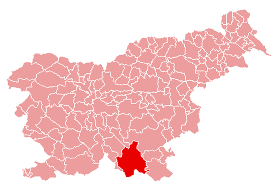 Округ Кочевье на карте Словении