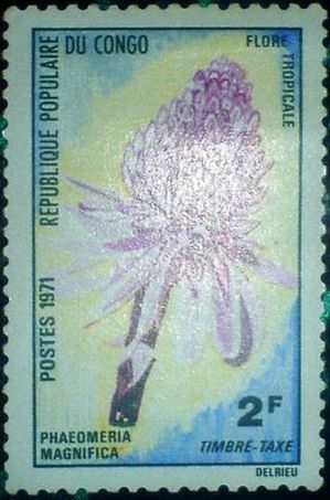 Почтовая марка республики Конго (погашена)