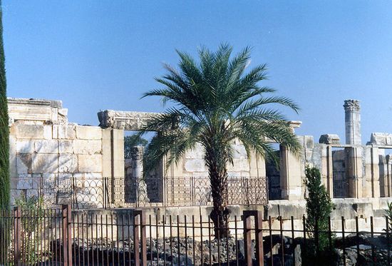 Синагога в Капернауме