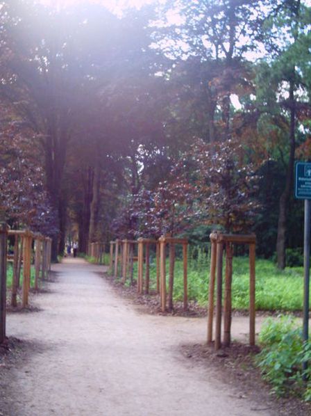 Историческая аллея в муниципальном парке.