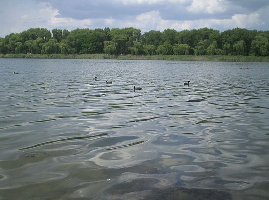Солёное озеро Рапное, Славянский курорт, гидрологический памятник Украины