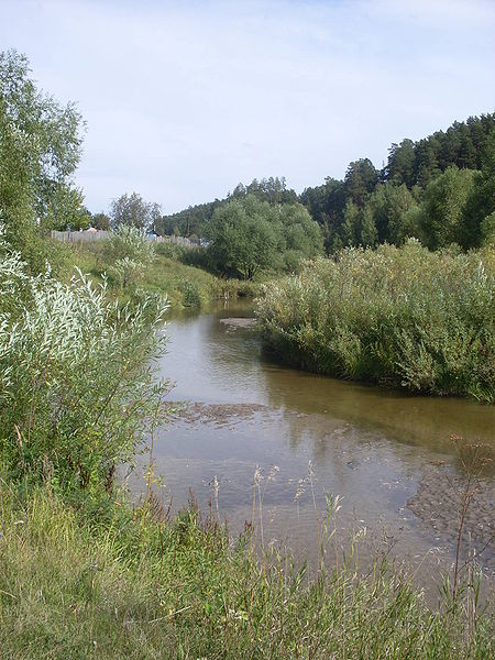 Река в районе посёлка Борзовая Заимка