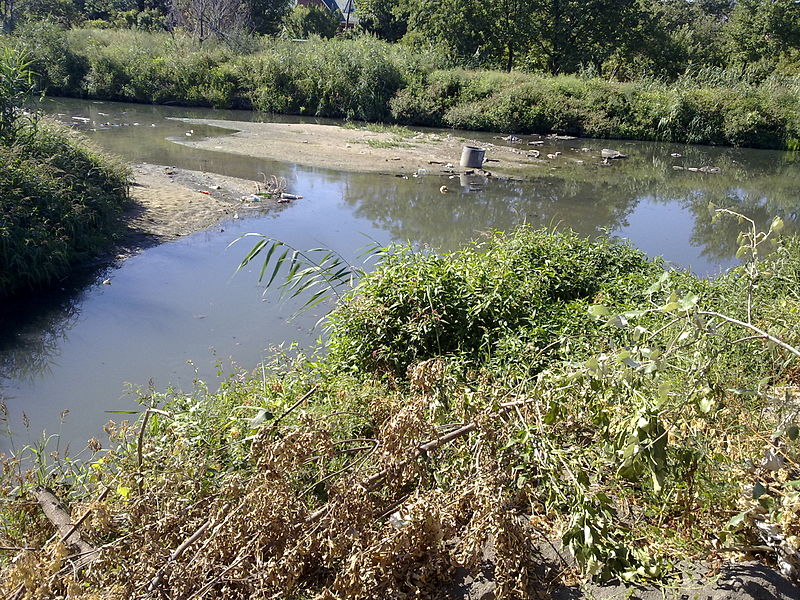 Устье Безымянного ручья в 2010 году