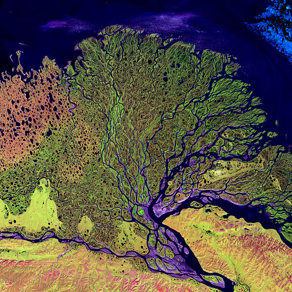 Дельта реки Лены на снимке из космоса