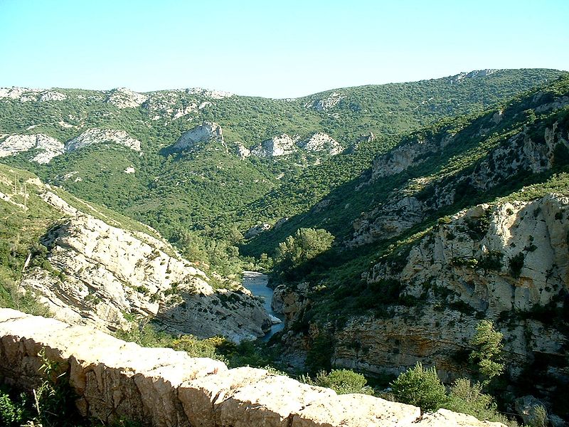 Вид на долину реки